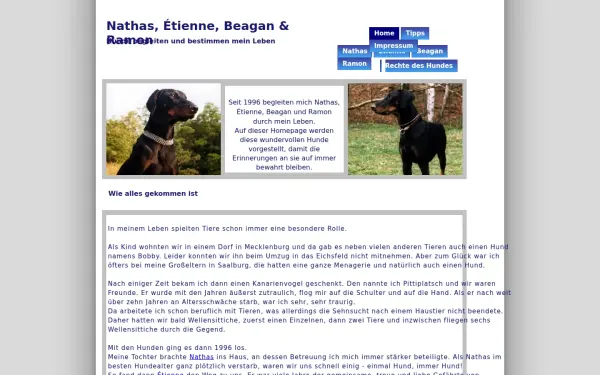 meine-hundepartner.de