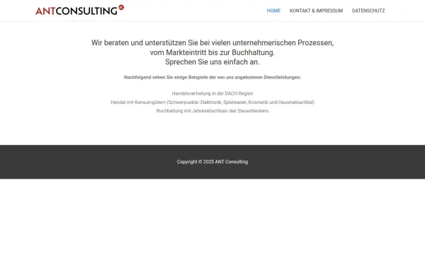 ant-consulting.de
