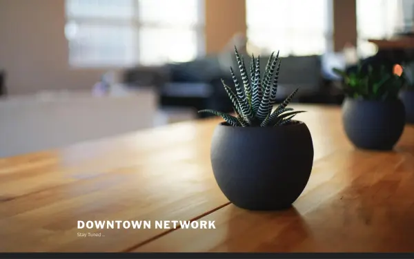 www.downtown-net.de