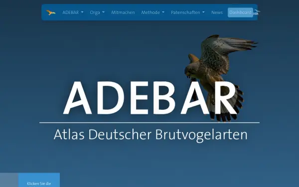 adebar.dda-web.de