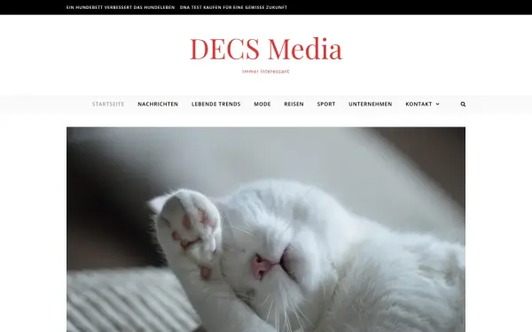 www.decsmedia.de