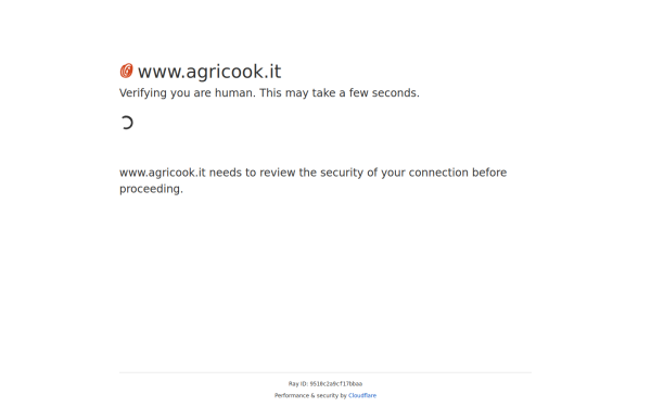 www.agricook.it