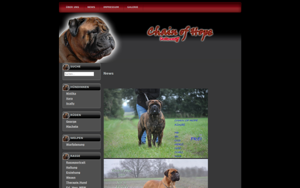 german-bullmastiff.de