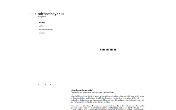 michaelseyer.at