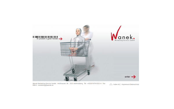 wanek.at