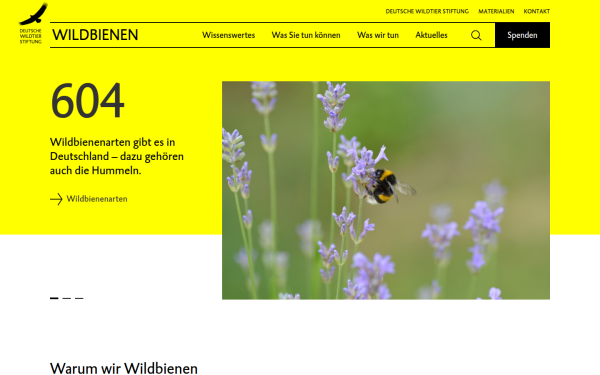 www.wildbiene.org