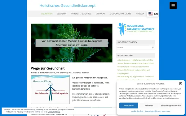 holistisches-gesundheitskonzept.de