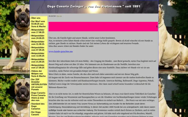 dogo-canario-zwinger.de