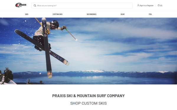 praxisskis.com