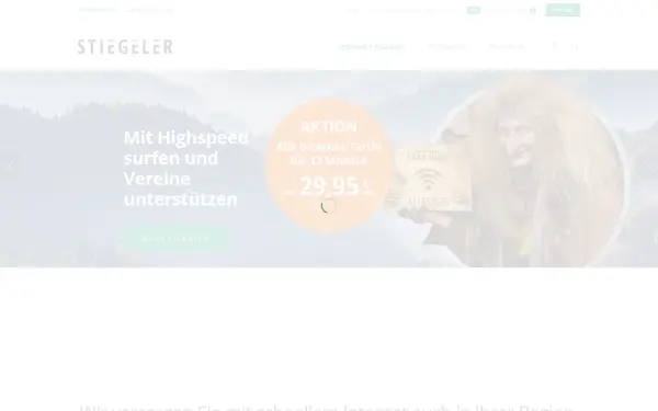 stiegeler.com
