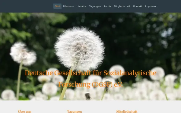 dgsf.de