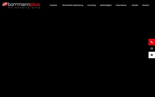 borrmannplus.de