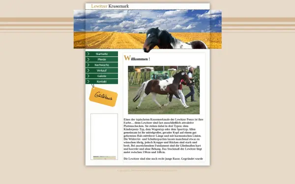 lewitzer-krusemark.de