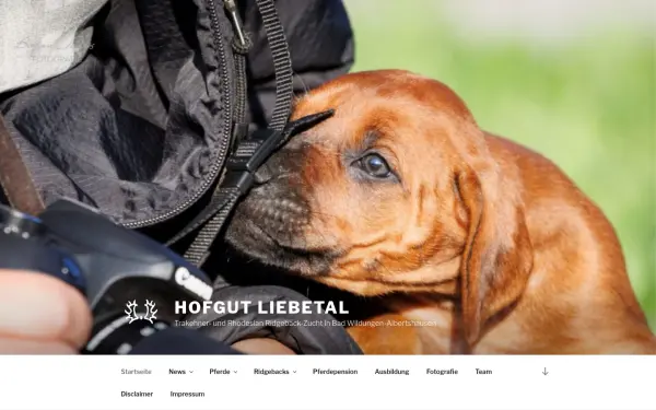 www.liebetal-trakehner.de