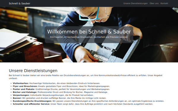 schnellundsauber.at
