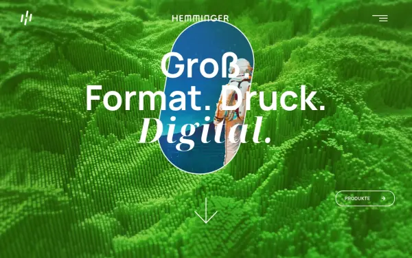 hemminger-digitaldruck.de