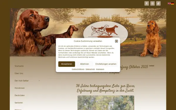 irish-setterzucht.de