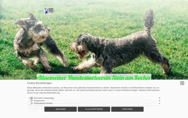 ahsv-stein.de