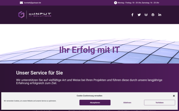 goinput.de
