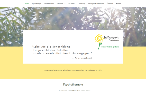www.traumatherapie-darmstadt.de