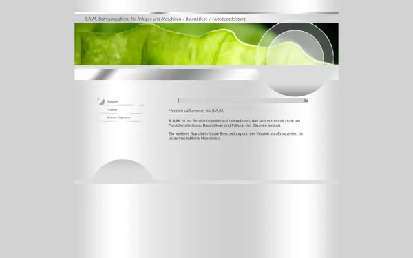 bam-service-online.de