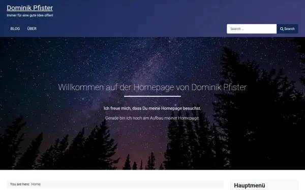 dominik-pfister.de