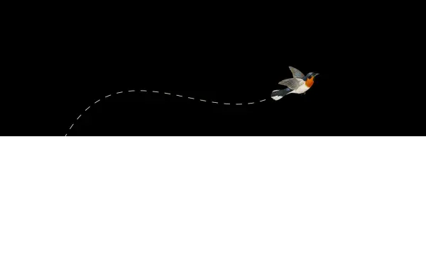 adriano-celentano-double.de