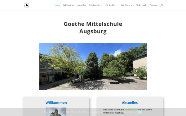 goethe-msa.de