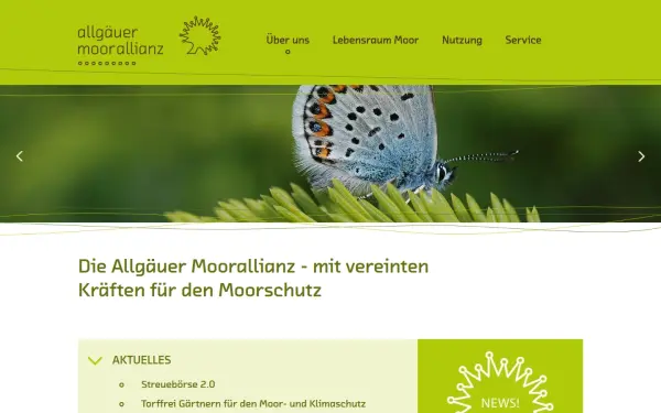 www.moorallianz.de