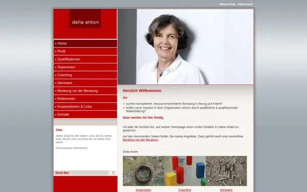www.anton-supervision.de