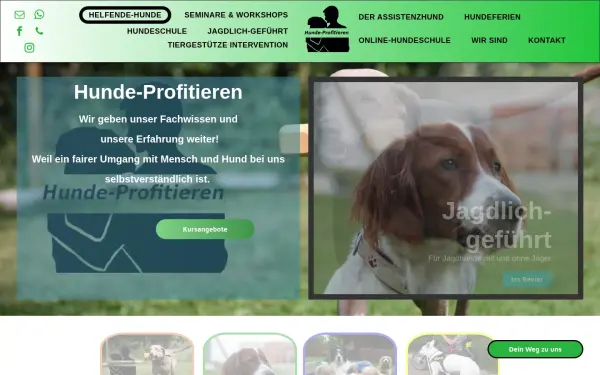 www.hunde-profitieren.de