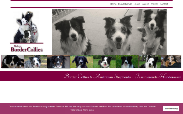 mickeysbordercollies.de