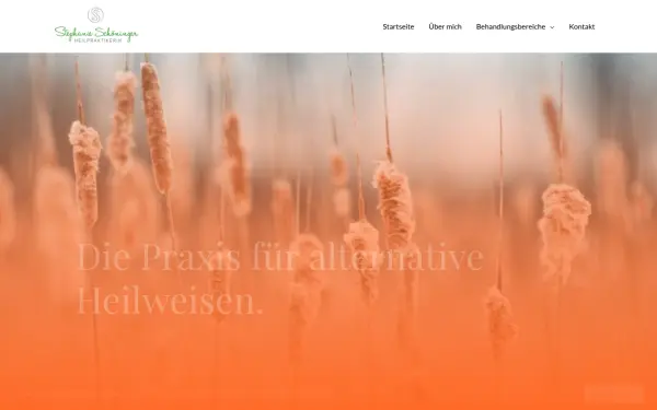 heilpraxis-schoeninger.de