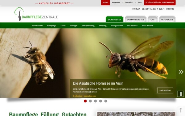 baumpflege-muenster.de
