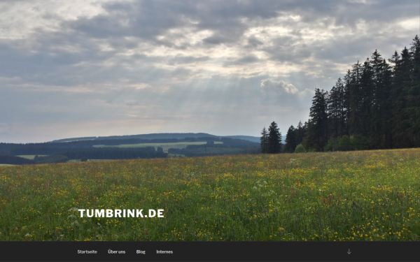 tumbrink.de