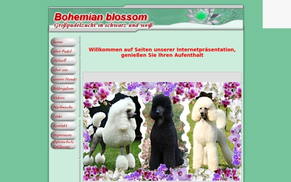 bohemian-blossom.de