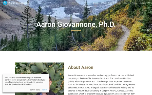 www.aarongiovannone.com