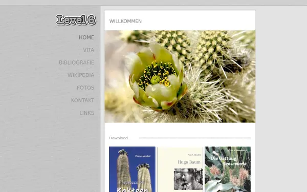 level6.de