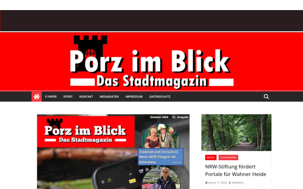 porzimblick.de