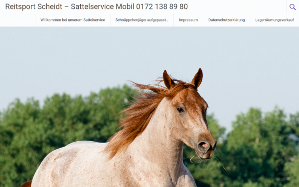 rs-sattelservice.de