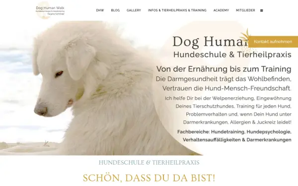 dog-human-walk.com
