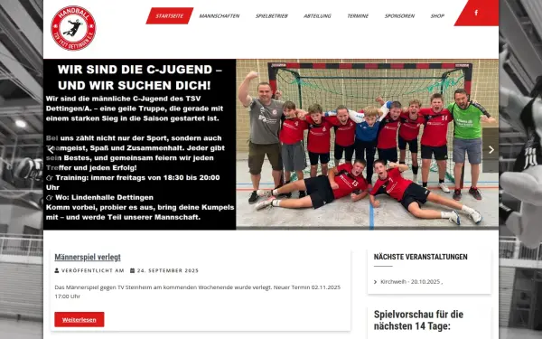 handball-dettingen.de