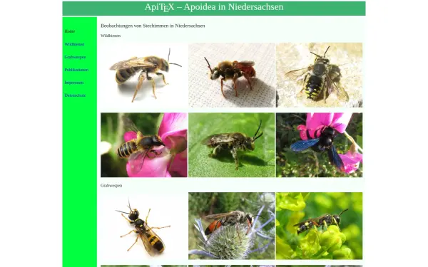 apitex.de