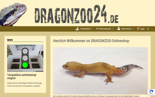 dragonzoo24.de
