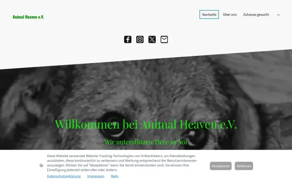 www.animal-heaven-ev.de