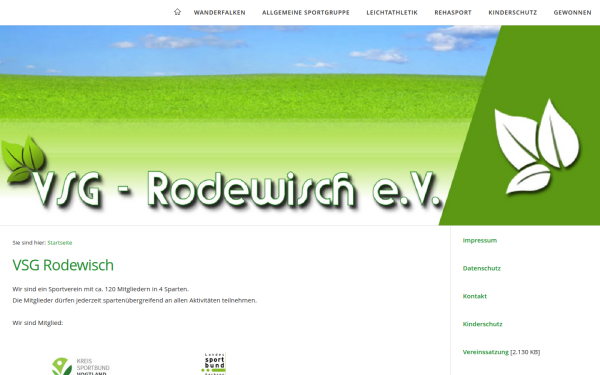 vsg-rodewisch.de