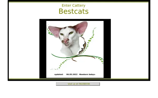 www.bestcats.de