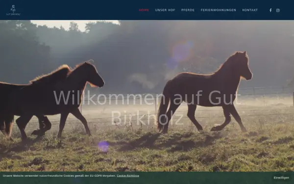 www.gut-birkholz.de