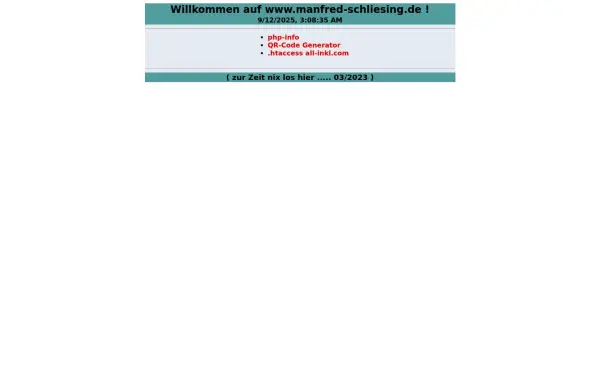 manfred-schliesing.de
