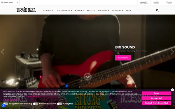 www.ernieball.com